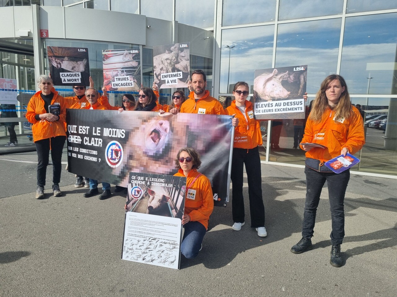 L214 alerte sur les élevages de cochons devant un hypermarché de Cherbourg-en-Cotentin