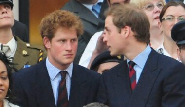 Prince William furieux : ce nouveau sujet de discorde avec son frère Harry