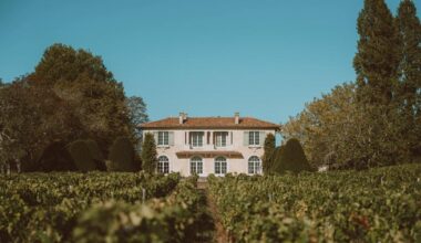 Dans le très réussi millésime 2022 à Bordeaux, voici les dix meilleurs vins à moins de 20 euros
