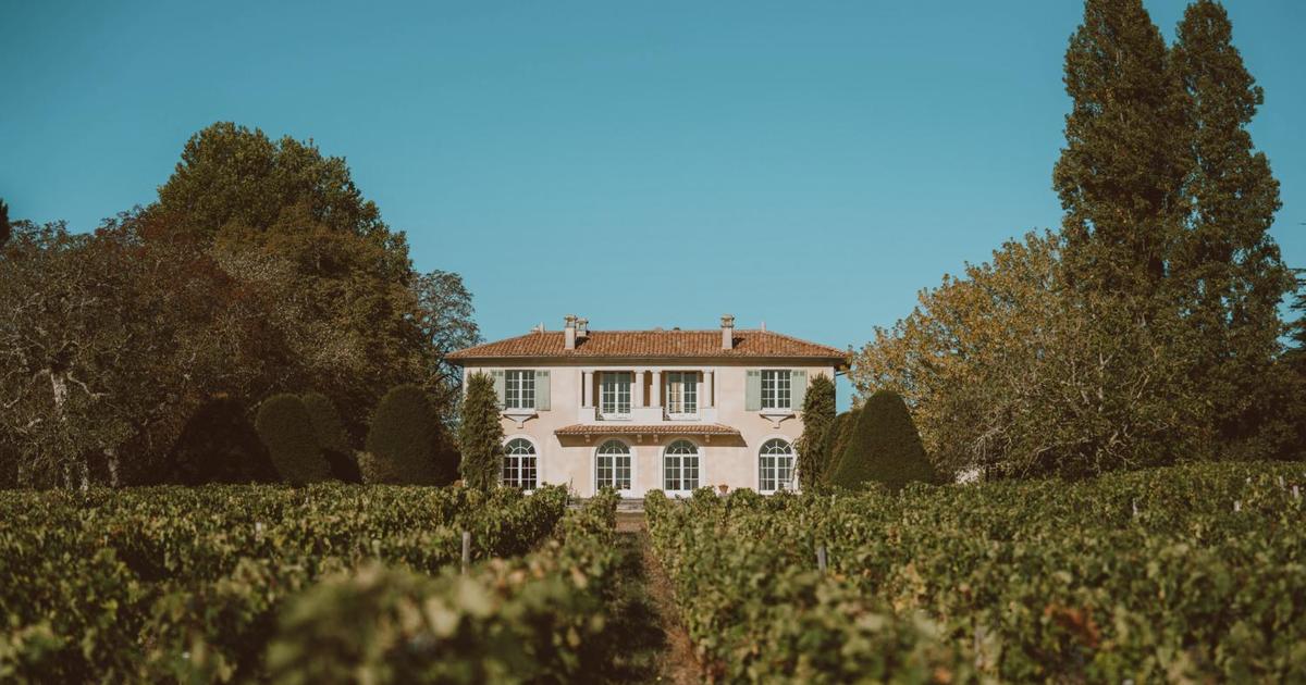 Dans le très réussi millésime 2022 à Bordeaux, voici les dix meilleurs vins à moins de 20 euros