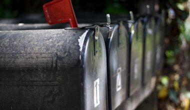 Bulletin N°5 - Mai 2025