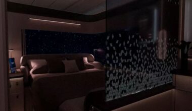 EN IMAGES. Ces cabines imaginées par Airbus propulsent ses avions au sommet du luxe