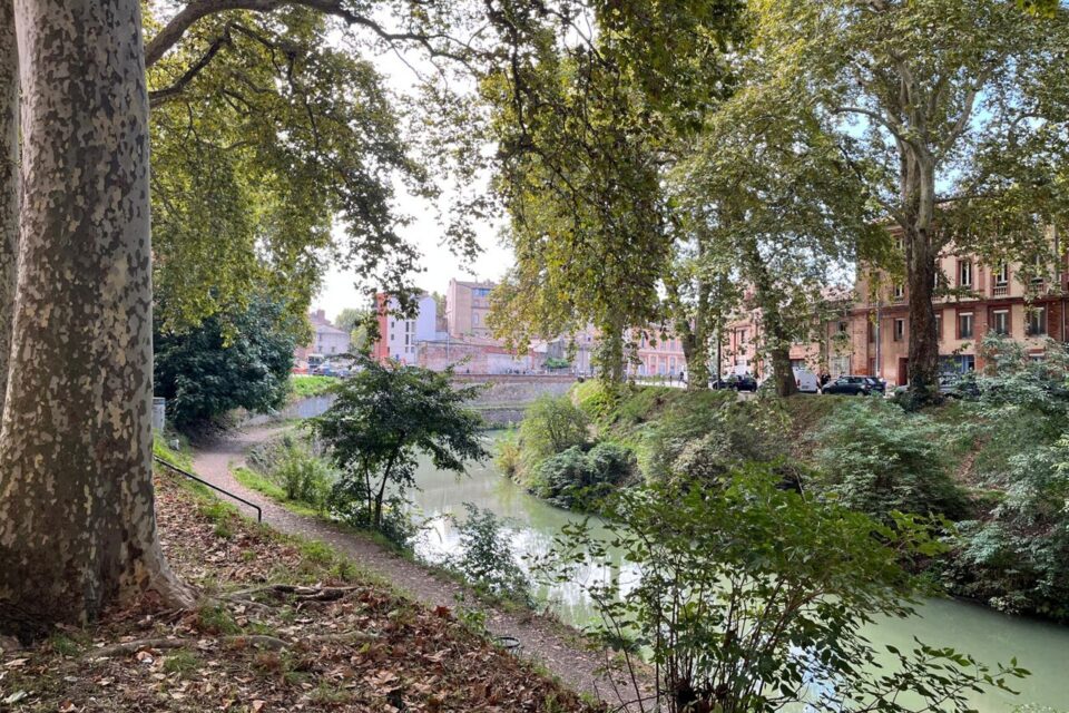 Le canal de Brienne à Toulouse va bientôt être transformé.