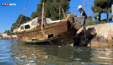"Ça n'enjolive pas le coin" : quand Toulon se débarrasse des épaves de bateaux qui polluent sa rade