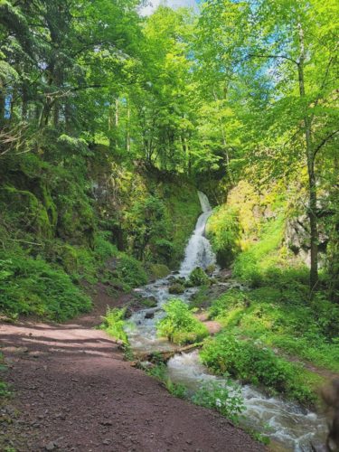 Cascade du Nideck – Trail de la Hasel