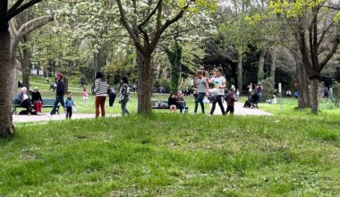 Chasse aux œufs, ticket d'or... Que faire pour Pâques, à Toulouse et dans ses environs ?