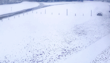 Météo. La neige tombe en grande quantité dans la Loire : découvrez les images