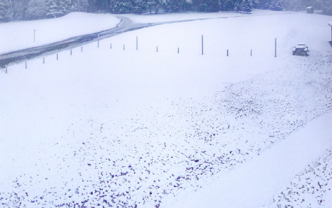Météo. La neige tombe en grande quantité dans la Loire : découvrez les images