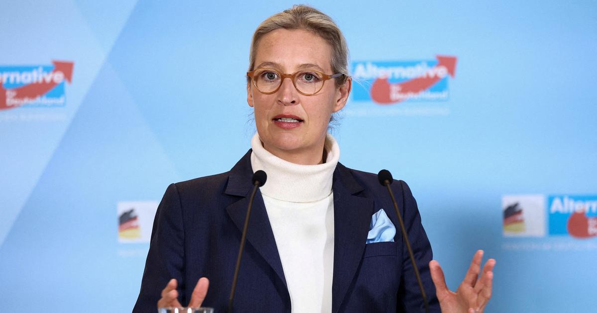 En Allemagne, l’AfD fait le ménage dans sa branche jeunesse pour policer son image