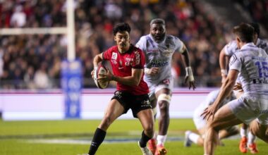 Toulon avec une charnière Serin-Domon pour défier Vannes
