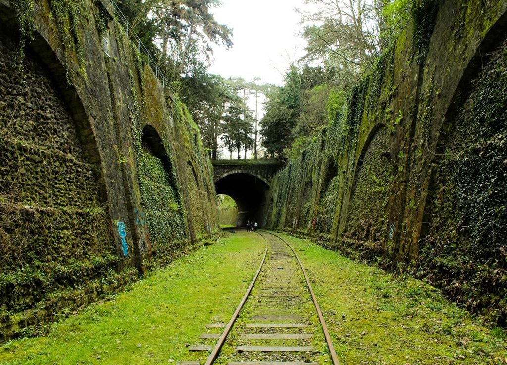 La petite ceinture verte.