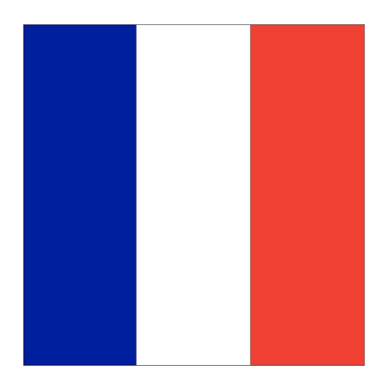 drapeau-france-carre.jpg