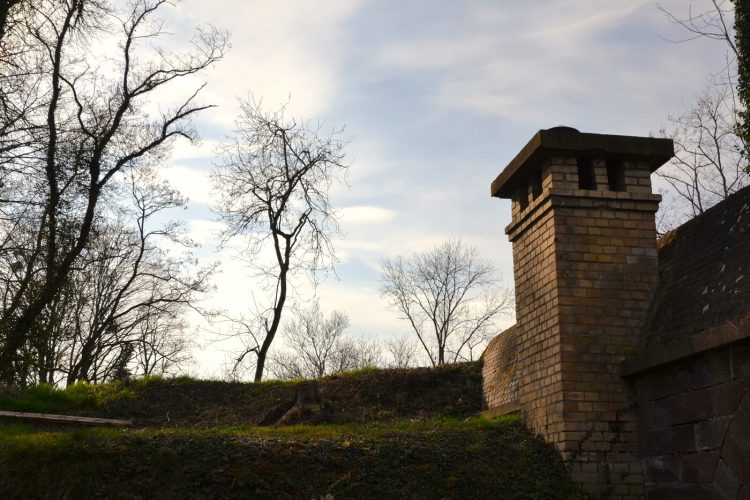 Fort Ducrot