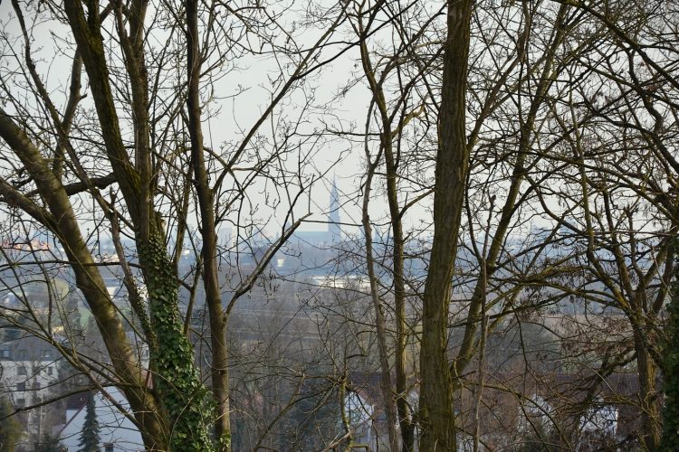 Fort Ducrot – vue cathédrale