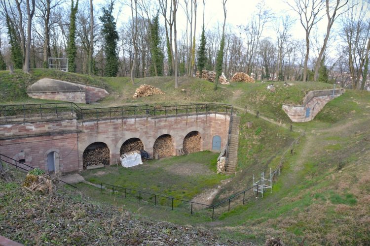 Fort Ducrot