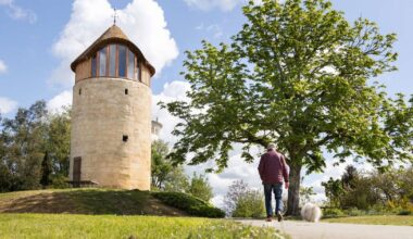 Près de Bordeaux, un moulin à vent transformé en refuge insolite et gratuit