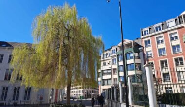 Météo. Soleil et jusqu’à 26 degrés : le mercure grimpe dans le Nord