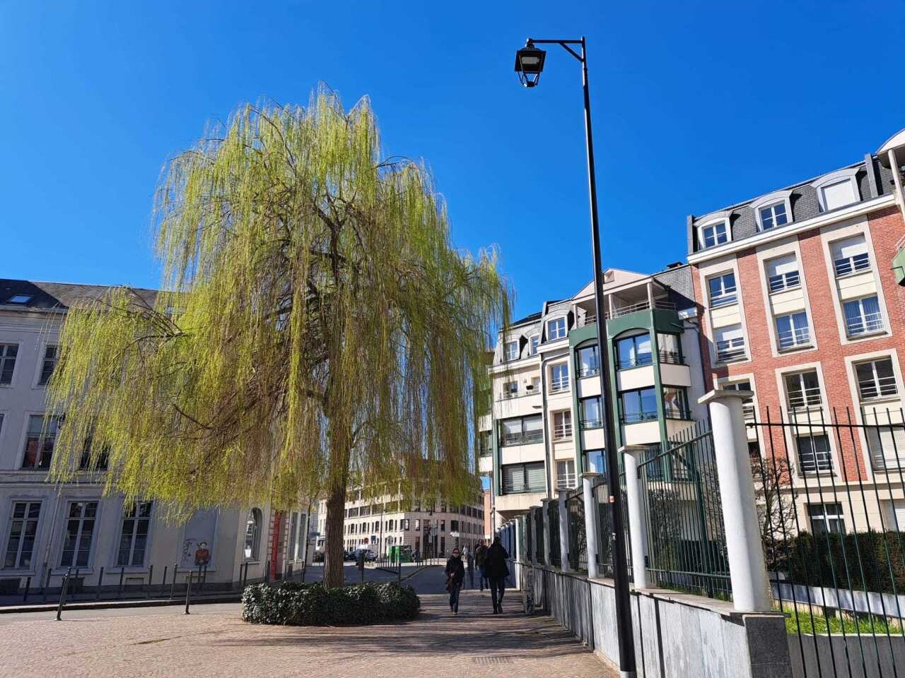 Météo. Soleil et jusqu’à 26 degrés : le mercure grimpe dans le Nord