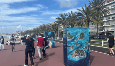 Nice. C'est quoi ces immenses photos affichées sur la promenade des Anglais