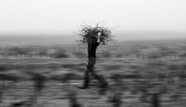 Expo photo - Michel Joly : En première ligne