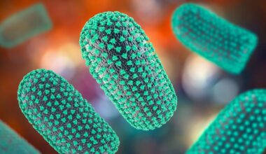 Transplanté avec un organe contaminé, il meurt de la rage quelques semaines plus tard