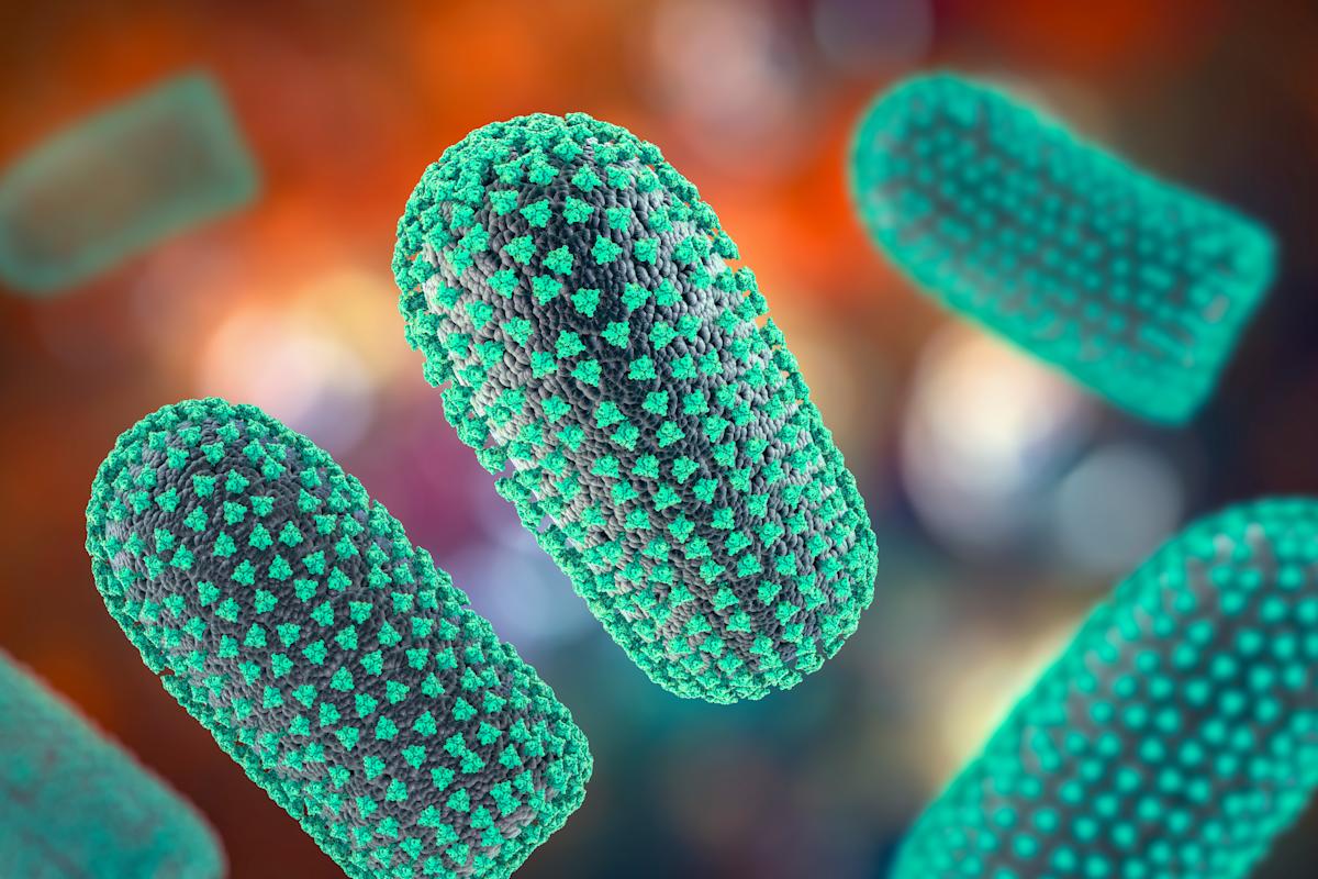 Transplanté avec un organe contaminé, il meurt de la rage quelques semaines plus tard