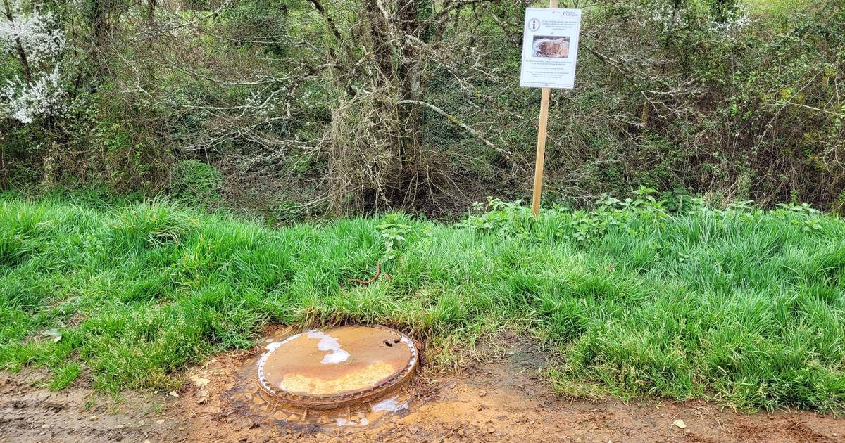 À proximité de Nantes, ces débordements de «jus de poubelle» surveillés de près sur l’ancienne décharge de Tougas