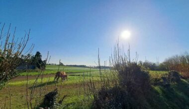 Près de Rennes, le ton se durcit entre la FDSEA et la Confédération paysanne