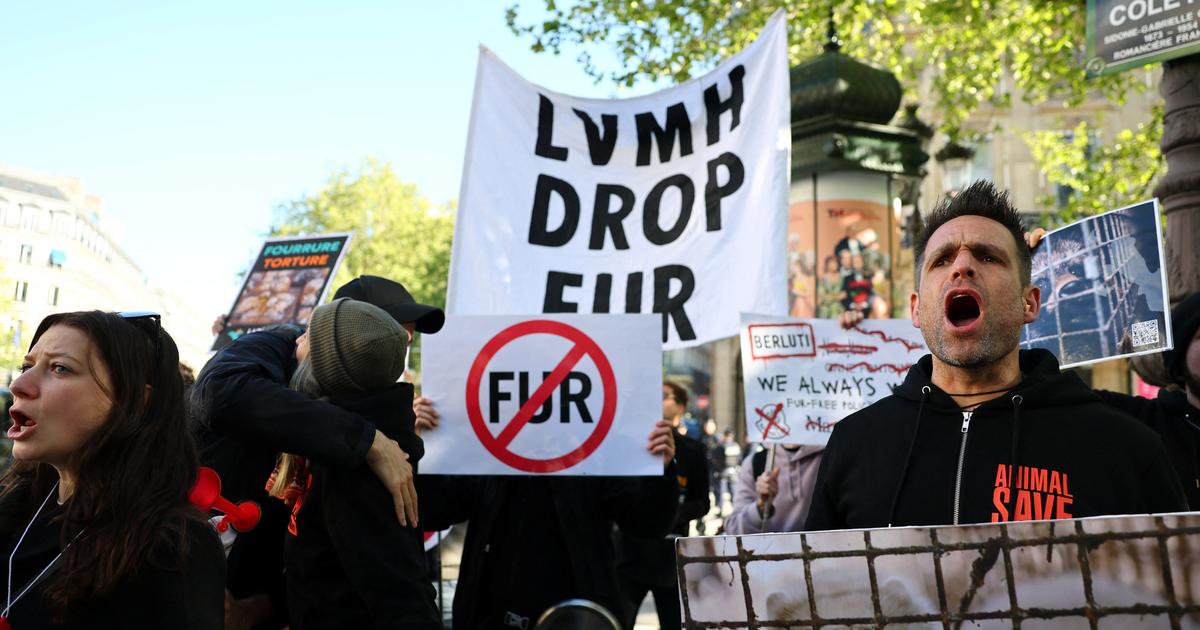 des militants protestent devant l’assemblée générale du géant de luxe, à Paris