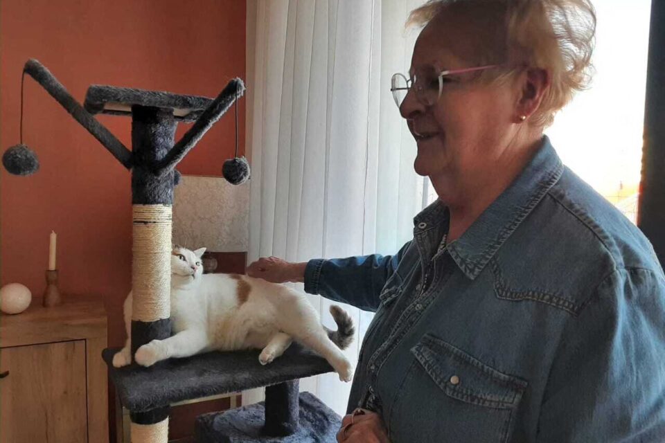 Chipie, dite Nénette, s'est très bien faite à l'emménagement dans la résidence, après avoir vécu dans la maison de Nicole à Saint-Omer.