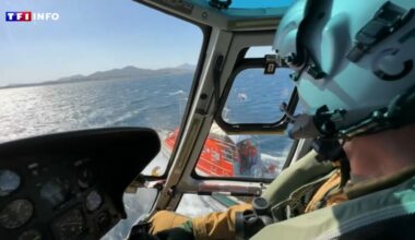 Toulon : un marin "de retour de mission" porté disparu en mer, annonce le ministre des Armées