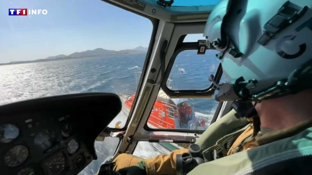 Toulon : un marin "de retour de mission" porté disparu en mer, annonce le ministre des Armées