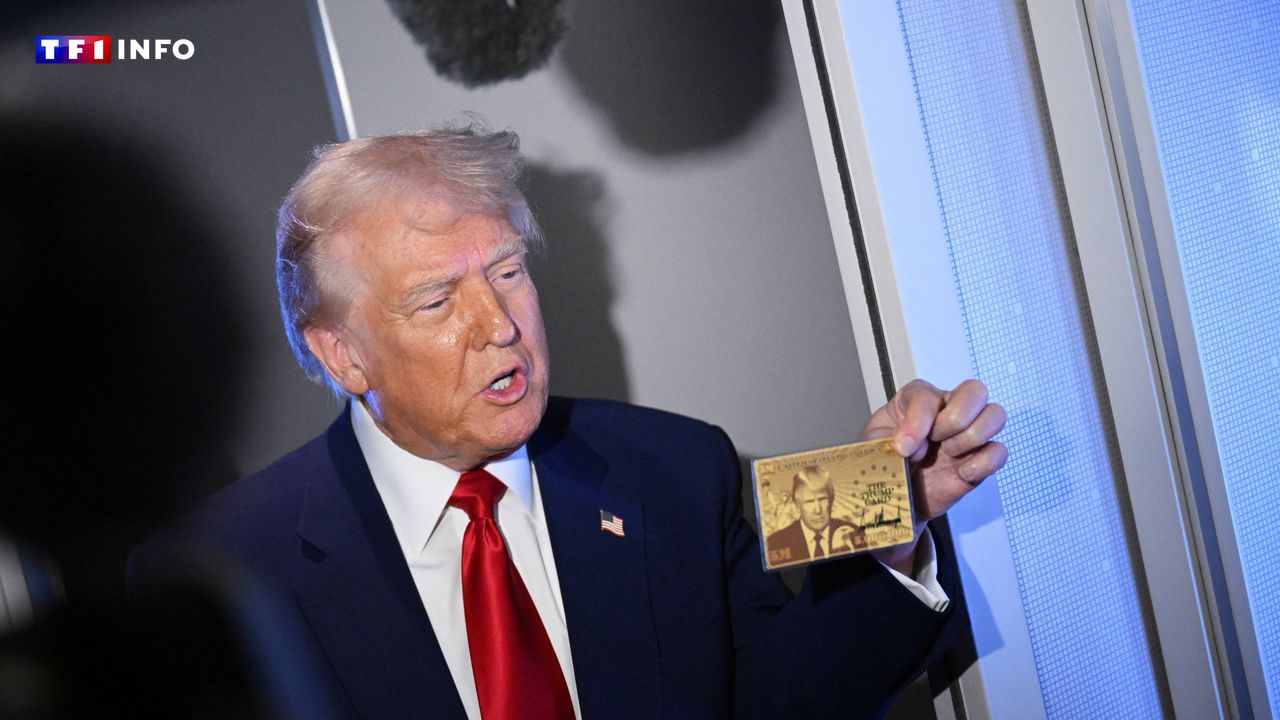 États-Unis : "5 millions de dollars et c'est à vous", Donald Trump lance une carte "gold" à son effigie