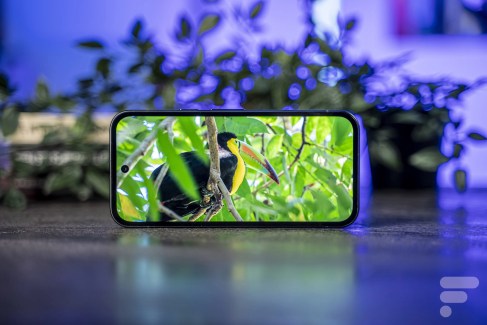 Google Pixel 9a 8