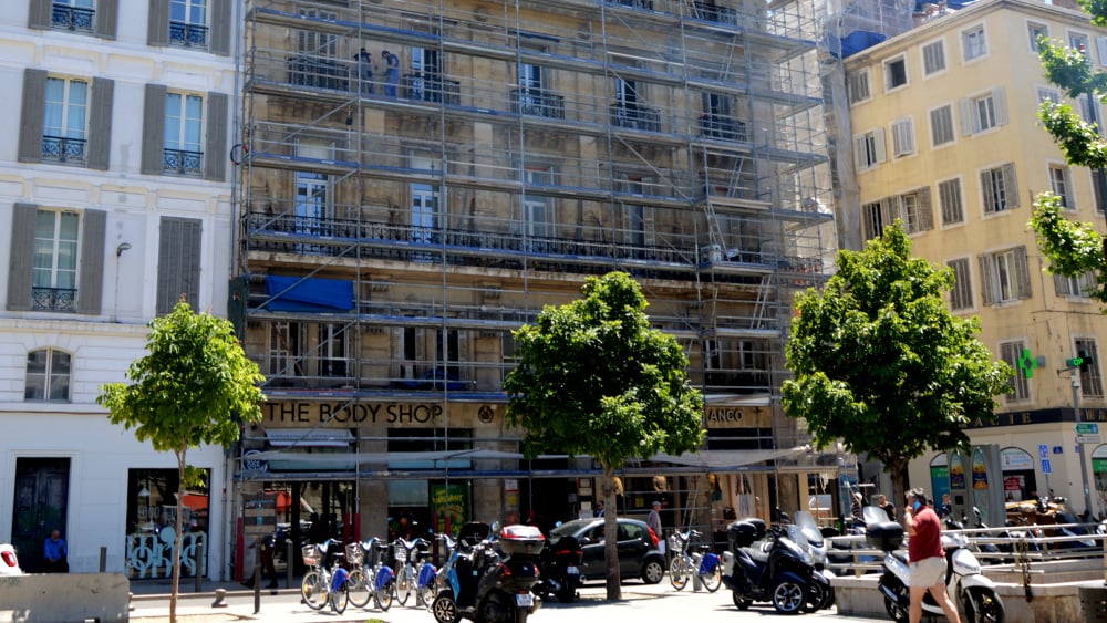 À Marseille, une convention pour protéger les oiseaux de la rénovation urbaine