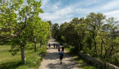 dans les secrets (in)visibles de la biodiversité