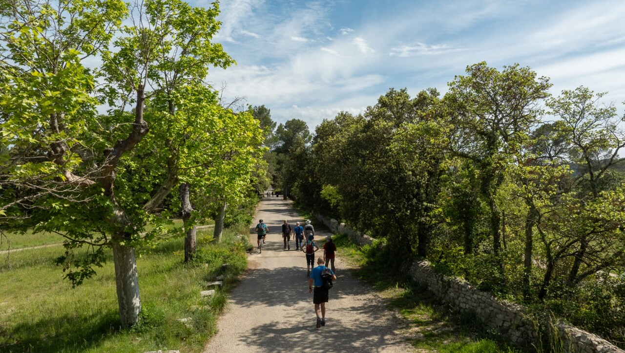 dans les secrets (in)visibles de la biodiversité