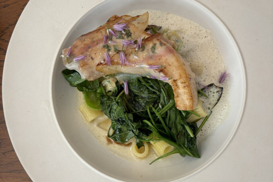 Espadon de ligne, rigati, épinard, petit pois, guanciale, écume de parmesan au vin jaune. 
