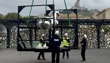 Zeus, le célèbre cheval des JO de Paris 2024, à Marseille : une opération périlleuse