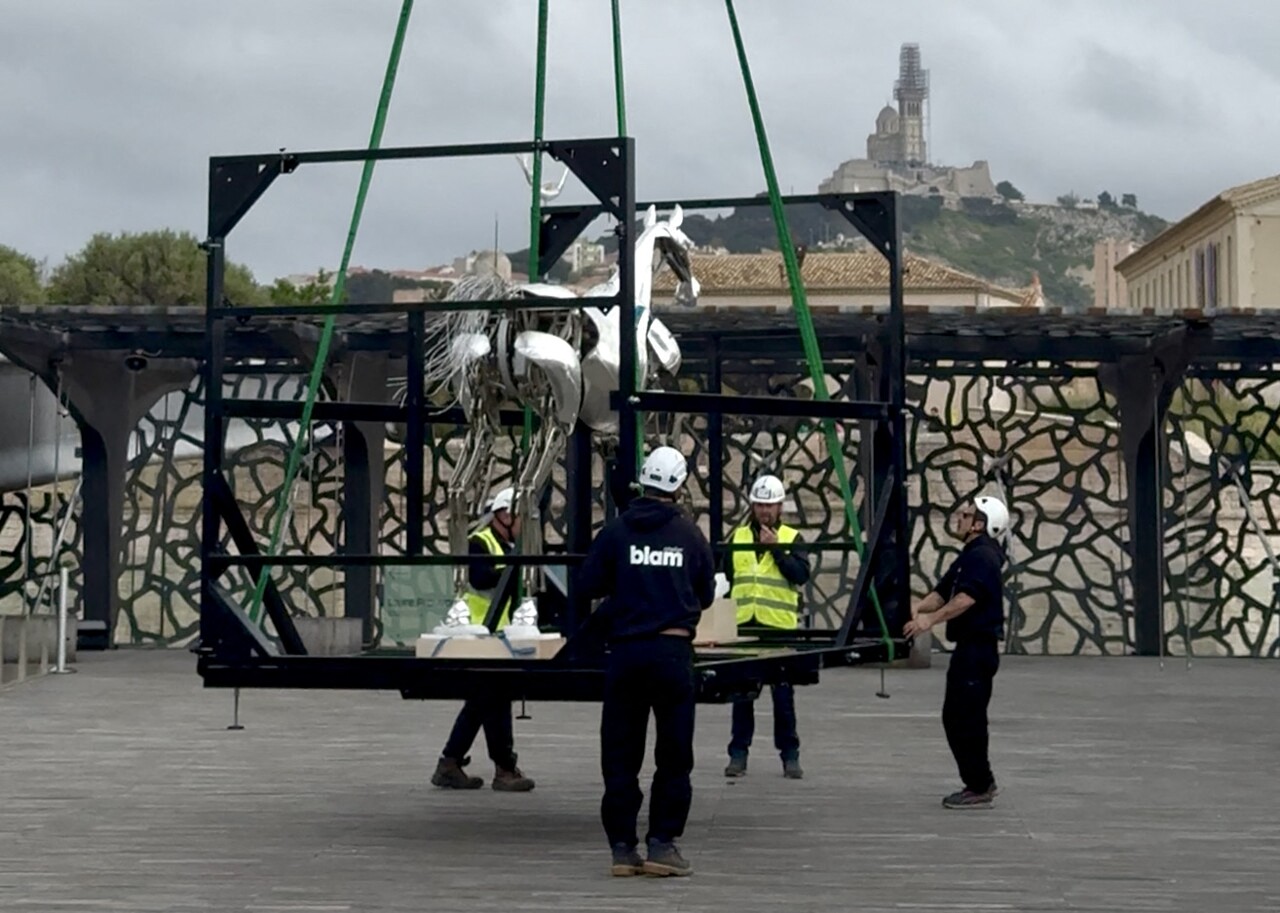 Zeus, le célèbre cheval des JO de Paris 2024, à Marseille : une opération périlleuse