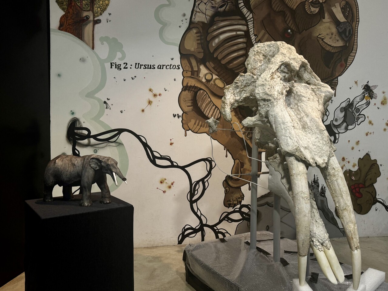découvrez le mastodonte des Pyrénées !