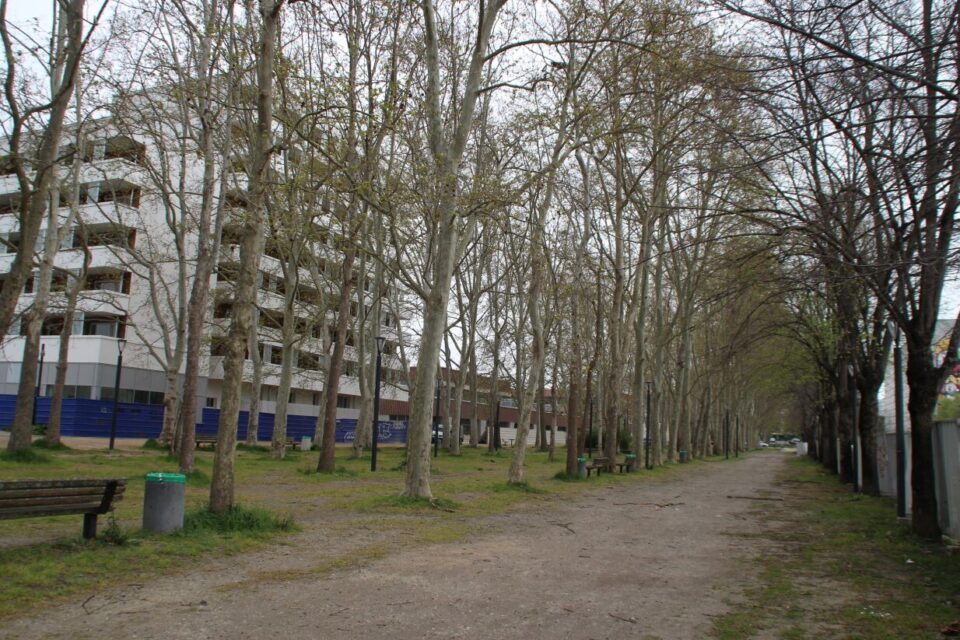 Cette allée arborée existe depuis la création du quartier. Elle doit être mise en valeur dans le nouveau projet du quartier. 