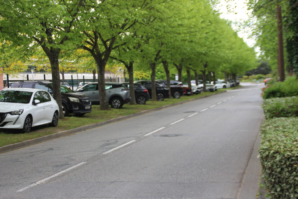 Plusieurs dizaines de véhicules stationnés de façon sauvage le long de l'avenue Jean Gornod, la seule solution pour certains visiteurs de la Cité de l'Espace pour stationner à proximité du site.