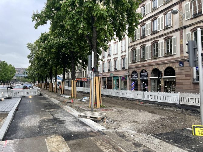 travaux halles
