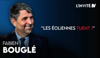 [L'INVITÉ] Éoliennes, nucléaire, ingérences avec l'Allemagne : il nous dit tout