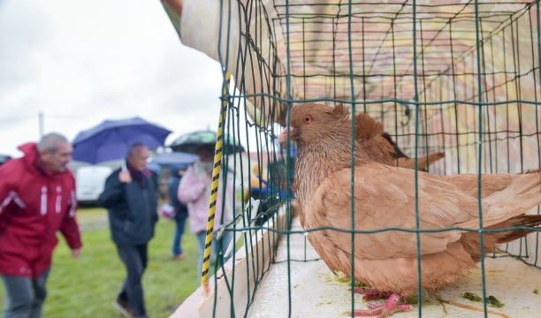 La 59e  édition de la foire de Padoux devrait encore attirer la grande foule. Photo Jérôme Humbrecht