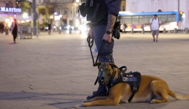 Service public, subventions aux associations et recrues animales au programme du conseil municipal de Marseille