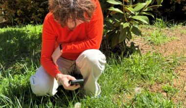 Découvrez et répertoriez la flore et la faune marseillaise lors du City Nature Challenge Nature 2025