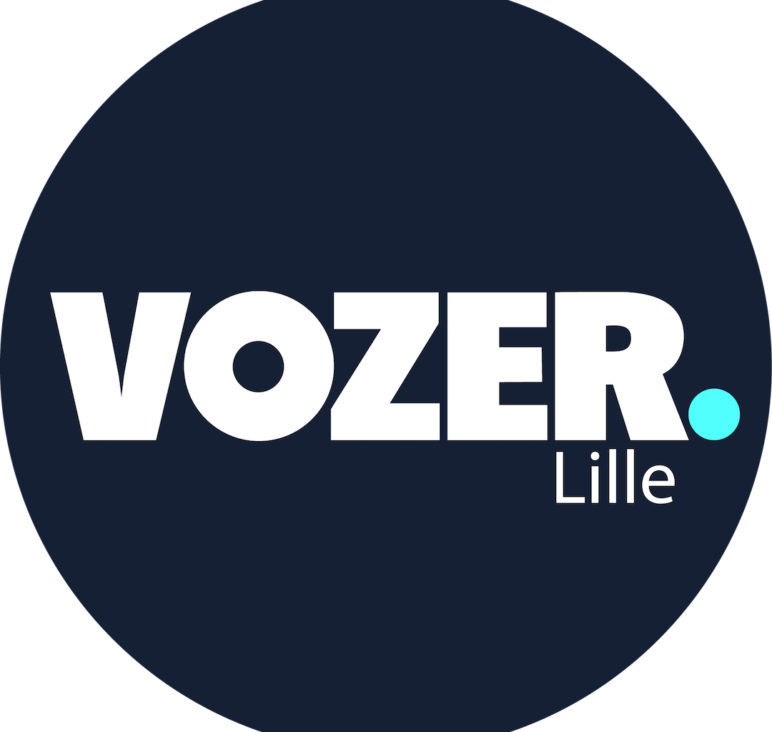 Logo Vozer