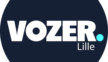 Logo Vozer